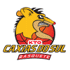 home team