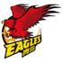 home team