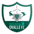 home team