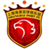 home team