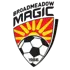 home team