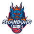 home team