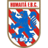 home team