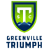 home team