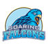 home team