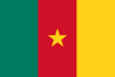 Cameroon Women队徽